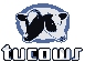 Tucows download software